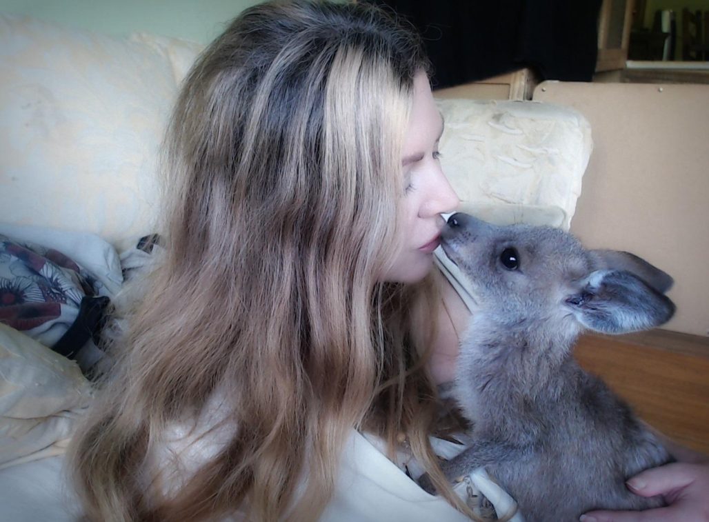 vanessa talbot kissing baby kangaroo